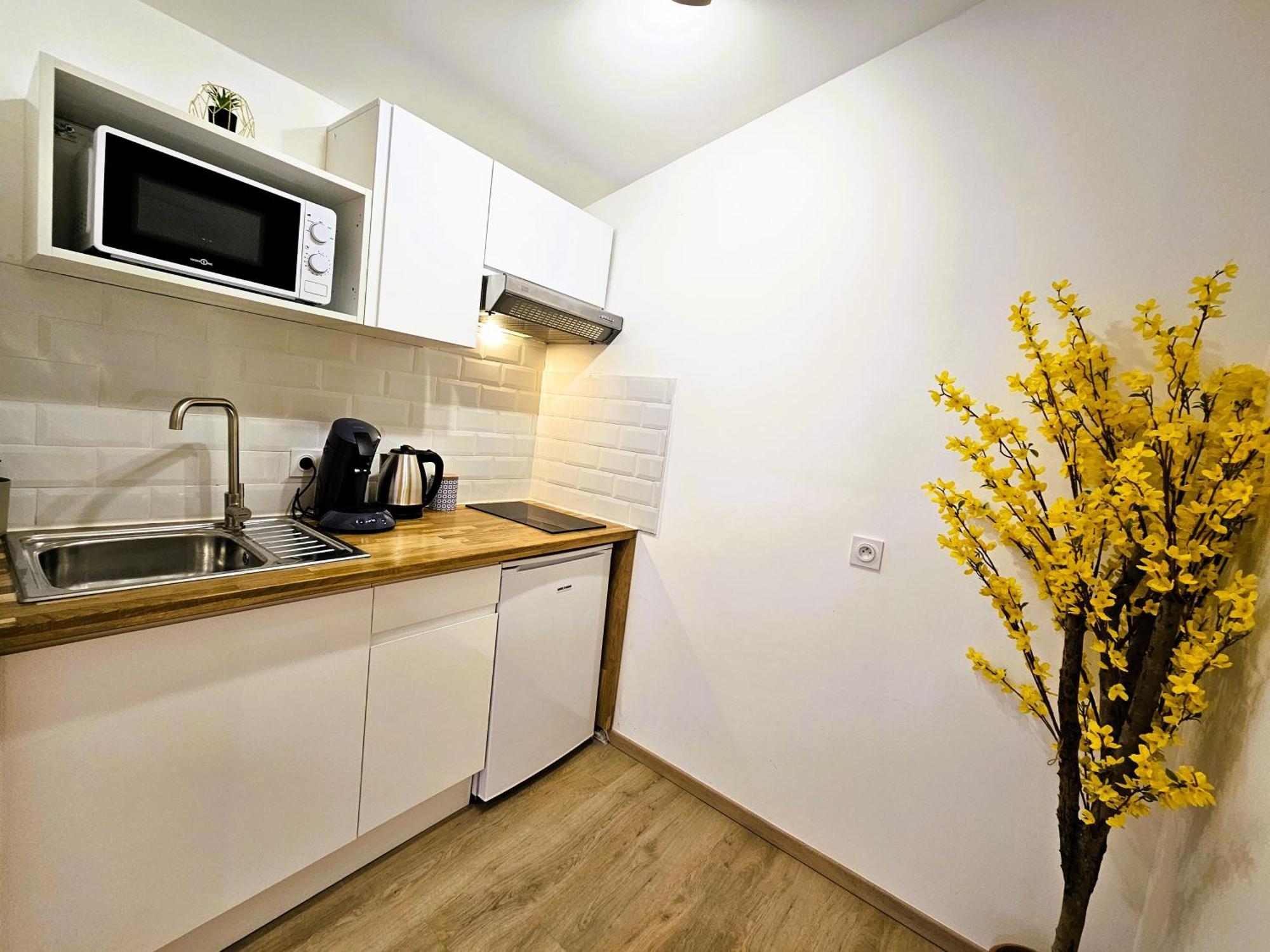 Tout Confort ! Centre-Ville, Climatisation, Parking, Wifi, Calme, Tv Carcassonne Bagian luar foto